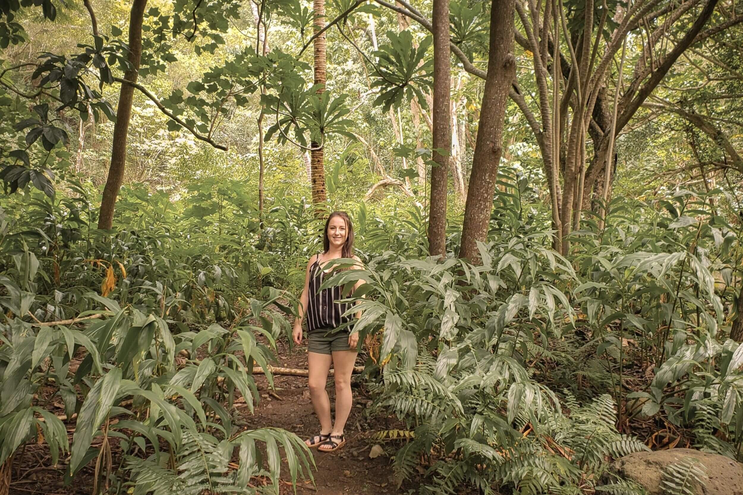 Iao Valley Maui, Hawaii